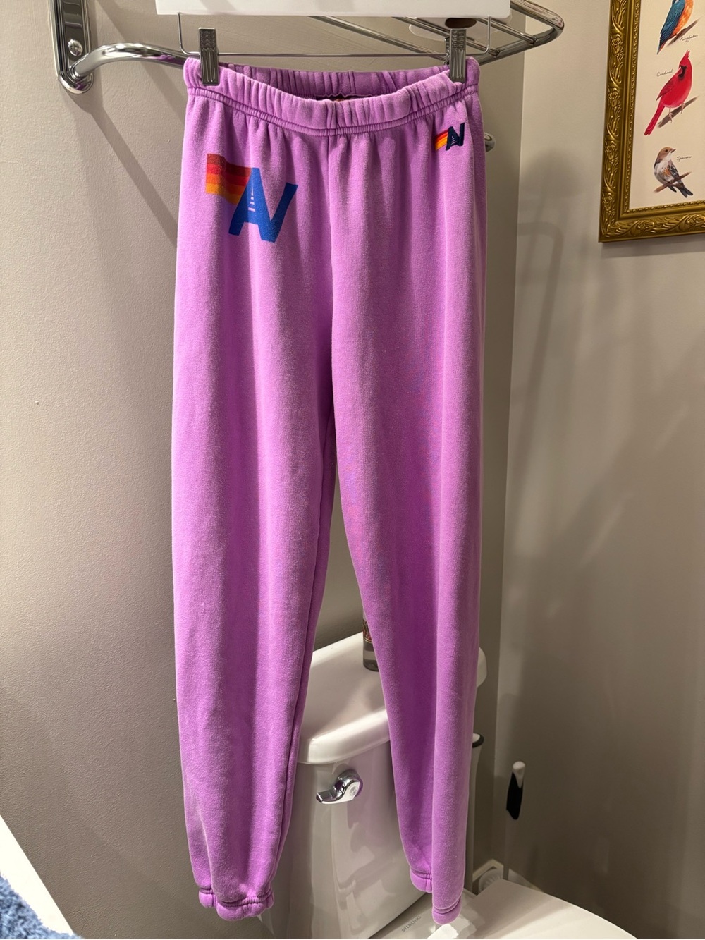 Aviator Nation Sweatpants